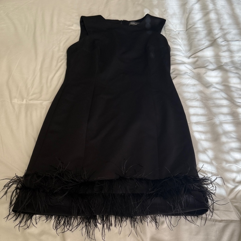 Elegant Black Dress with Feather Trim